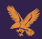 Raster to Vector Conversion Service