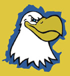 Raster to Vector Conversion Service